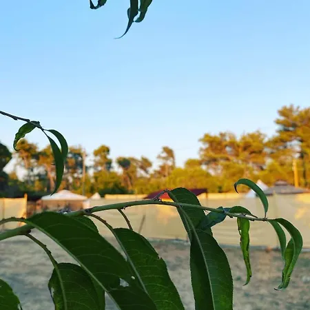 Tente de luxe Ancora Glamping Experience *